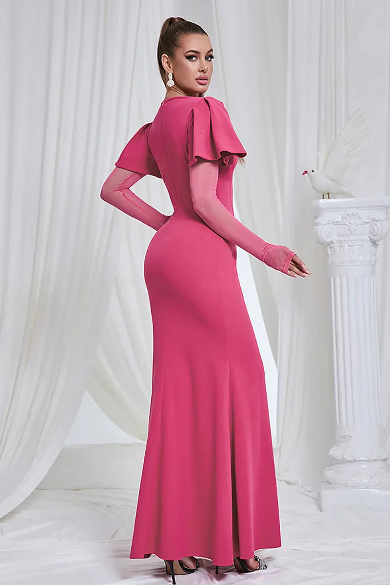 Elegant Mesh Long Sleeve Dress